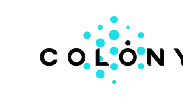 Meetup Asseth chez Talan : présentation de Colony