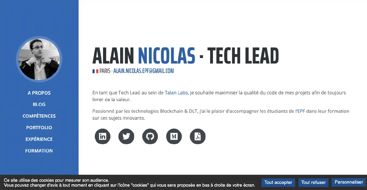 Preview of the banner on this site, at the bottom of the page